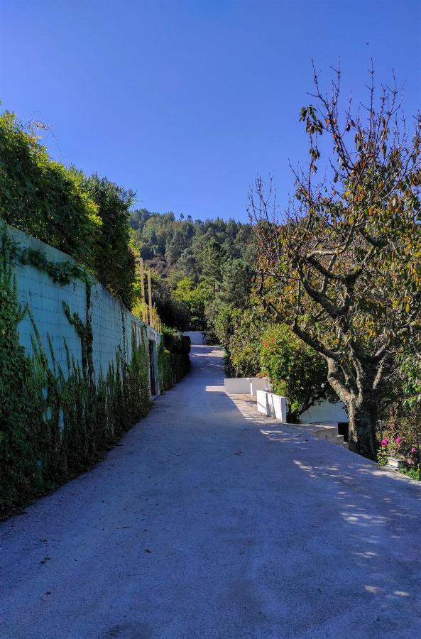 Pera Da Serra - Turismo No Espaco Rural Lousã Buitenkant foto